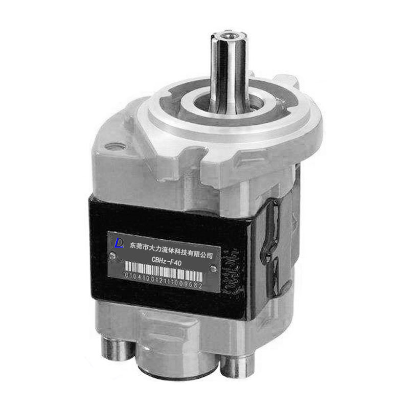 Nicht standardmäßige kundenspezifische Hochdruck-Zahnradpumpe aus direkter Aluminiumlegierung CBHZ Hydraulikpumpe Gabelstaplerpumpe Zahnradölpumpe